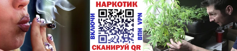 Купить наркотик аптеки Мурманск Псилоцибиновые грибы  Мефедрон  KRAKEN как войти  АМФЕТАМИН  Cocaine 
