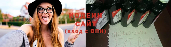 ПСИЛОЦИБИНОВЫЕ ГРИБЫ Балахна