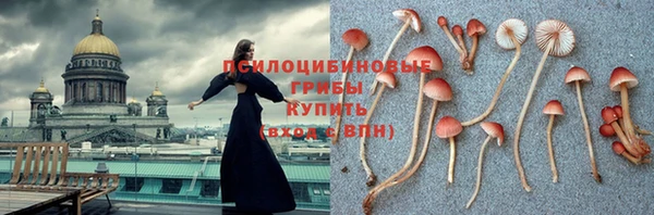 ПСИЛОЦИБИНОВЫЕ ГРИБЫ Балахна