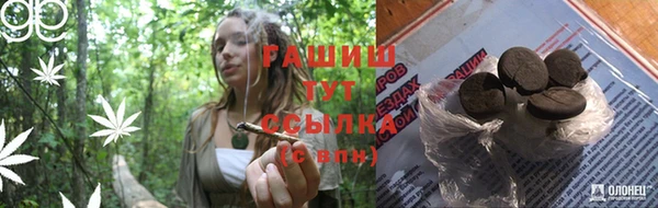 ПСИЛОЦИБИНОВЫЕ ГРИБЫ Балахна